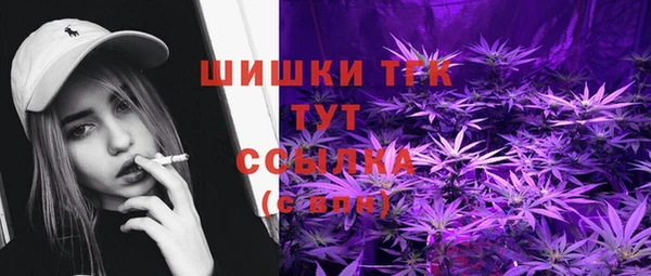 молекула духа Алзамай