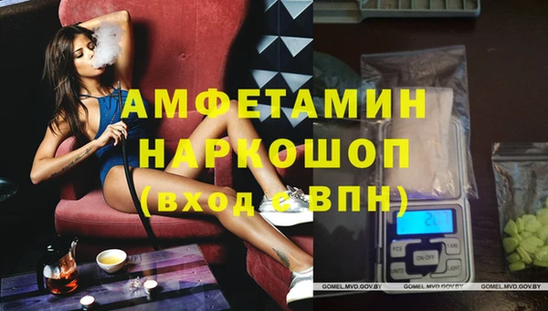 гидра Алексеевка