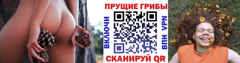 Галлюциногенные грибы прущие грибы Алушта
