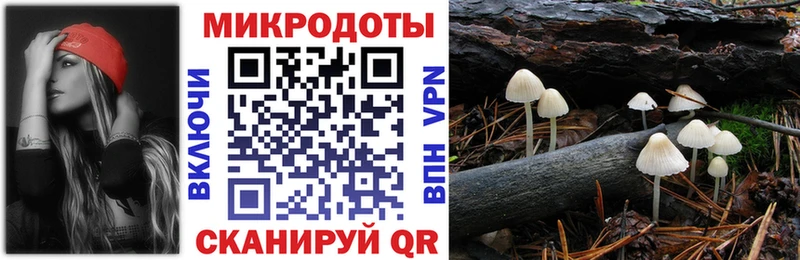 Псилоцибиновые грибы Psilocybe продажа наркотиков Алушта